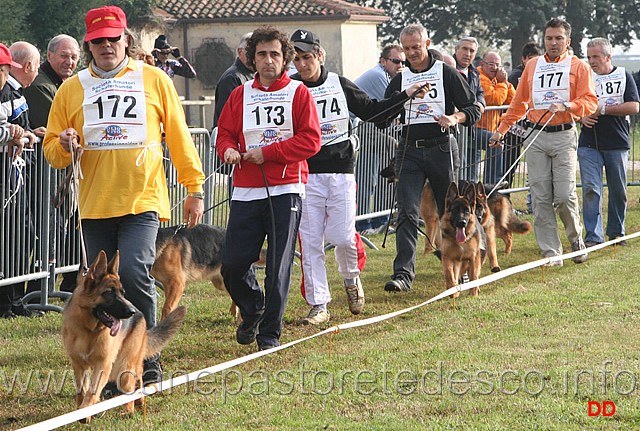 010.jpg - Classe Juniores femmine. Ordine di catalogo