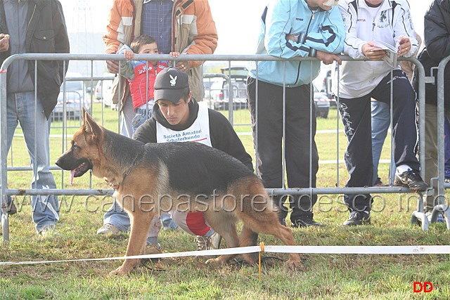 020.jpg - Classe Juniores femmine.  8 Pia della Valcuvia