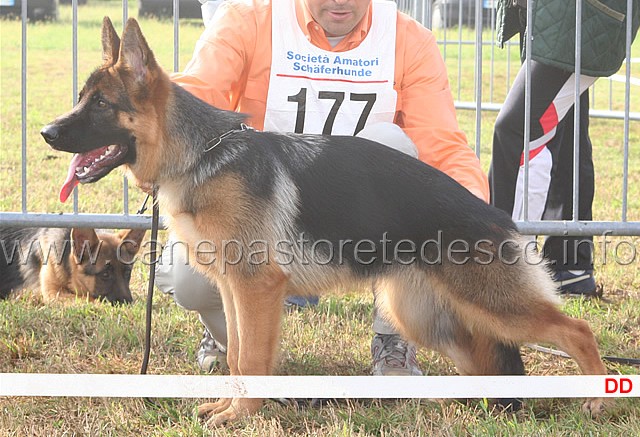 031.jpg - Classe Juniores femmine.  3 Eva del Seprio