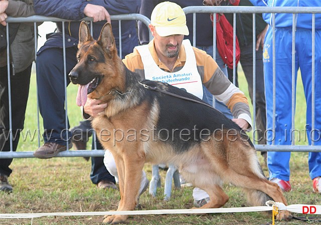 105.jpg - Classe Giovani maschi. 1 Dax de Intercanina