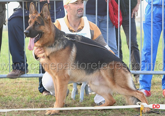 106.jpg - Classe Giovani maschi. 1 Dax de Intercanina