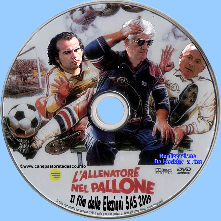 allenatore nel pallone