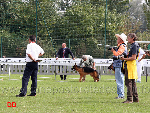 ring-cuccioloni-maschi