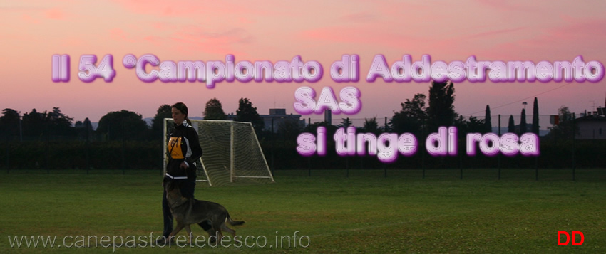 campionato-addestramento-sas-2010