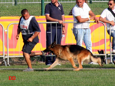 Antonio Semeraro con King del Rione Antico 