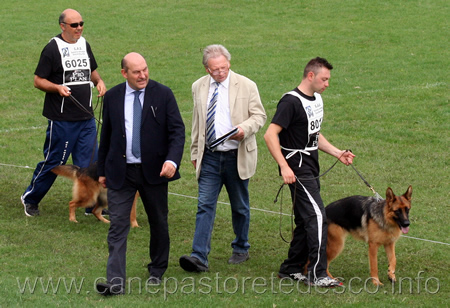 gruppo di quark di val sant'anna