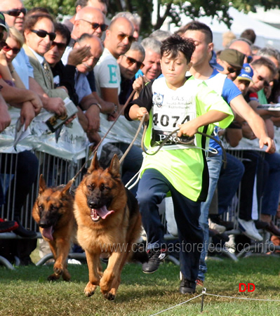 Mattia con Quixy di Castel Cerreto