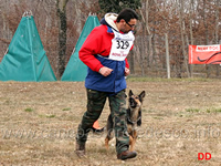 gara obedience aiello