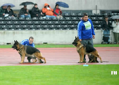 gruppo baru fursterbrunn