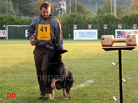 simone teich alasia con grimson