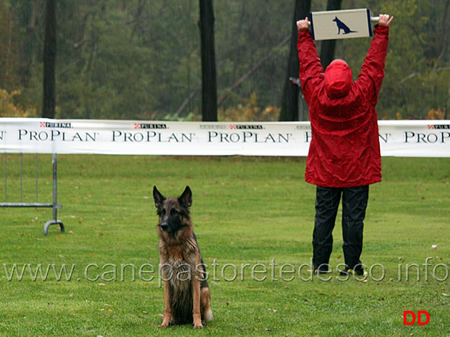 campionato-obedience-2010