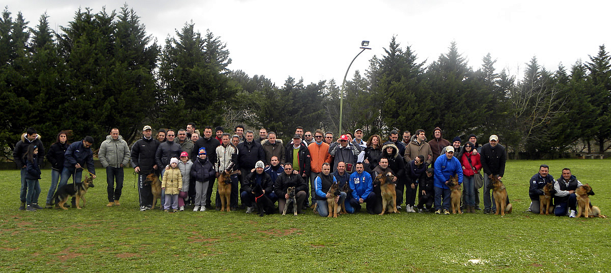 giornata-di-studio-sul-pastore-tedesco