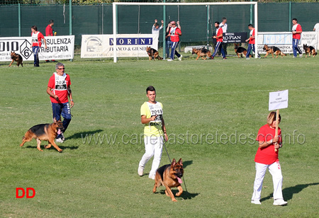 Gruppo di Homar dei Colli di Uzzano