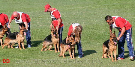 Gruppo Homar dei Colli di Uzzano