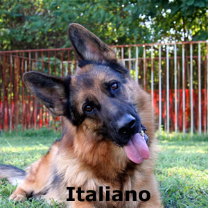 italiano