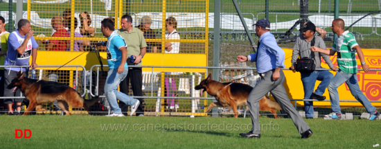 classe lavoro maschi campionato 2012