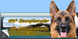 Campionato Allevamento SAS 2012