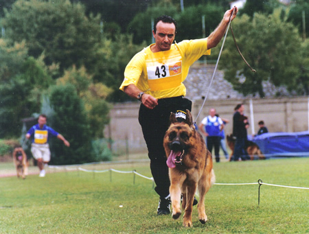 pino lentini