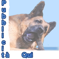 pulsante-quadrato