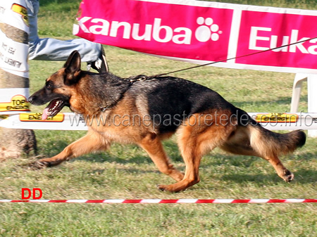 Carlotta in movimento