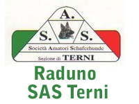 sas terni