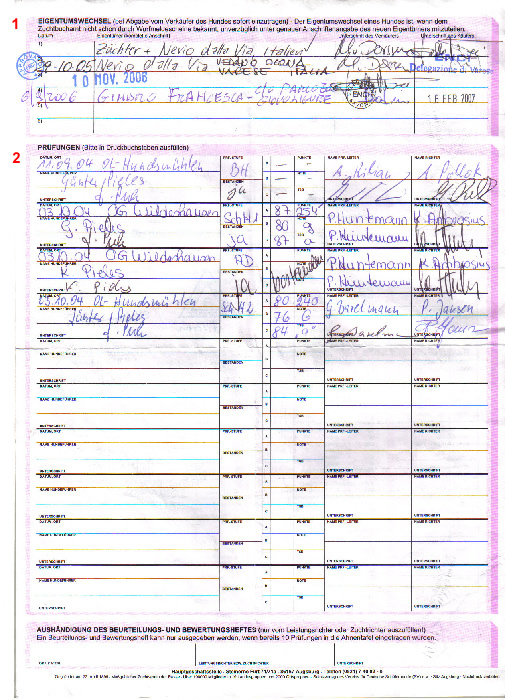 ultima-pagina-pedigree-sv