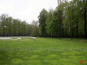 campo2