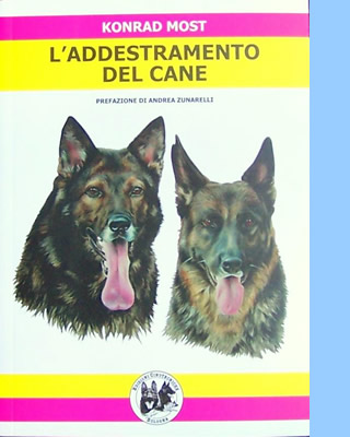 Korand Most. L'addestramento del cane